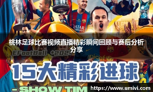 桃林足球比赛视频直播精彩瞬间回顾与赛后分析分享