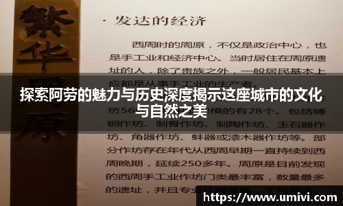 探索阿劳的魅力与历史深度揭示这座城市的文化与自然之美